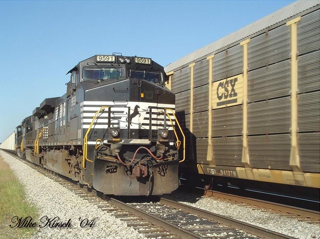 NS #9591