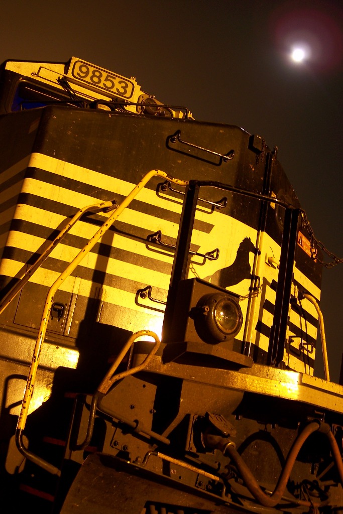NS 9853