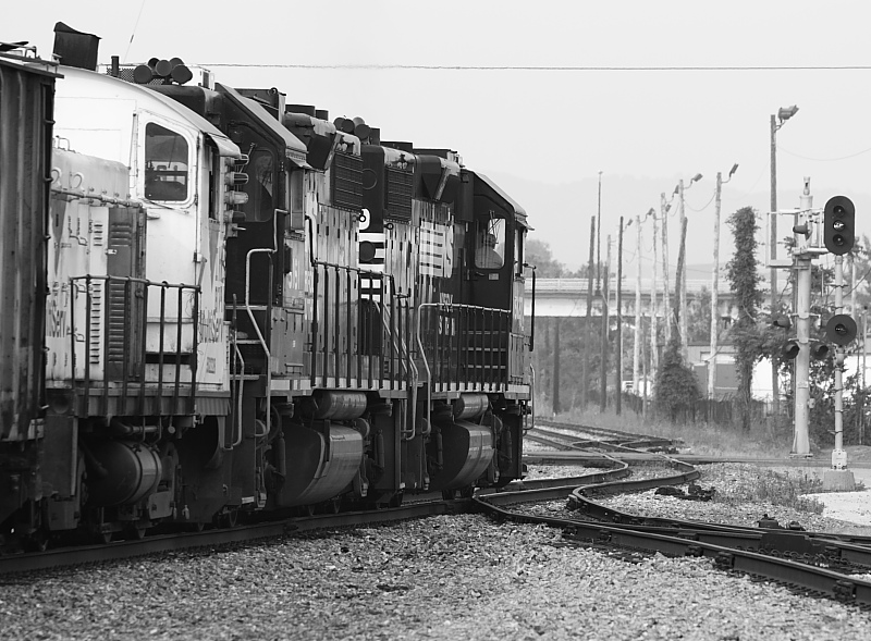 NS Downtown