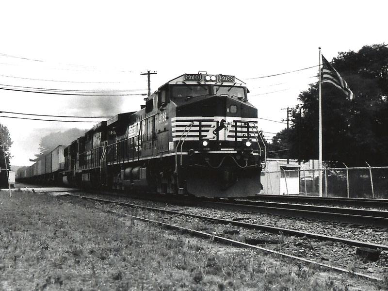 NS Pigs