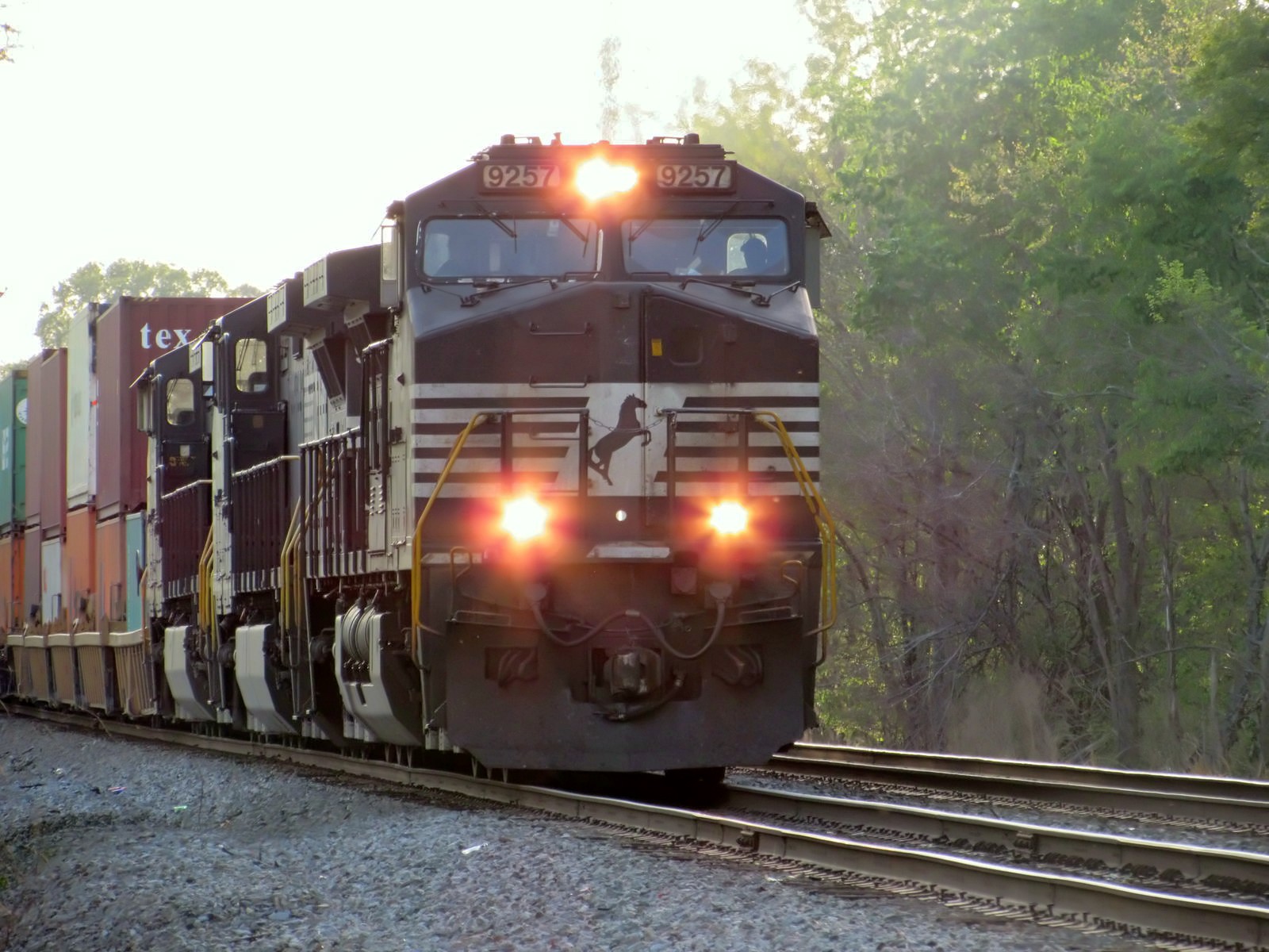NS_233