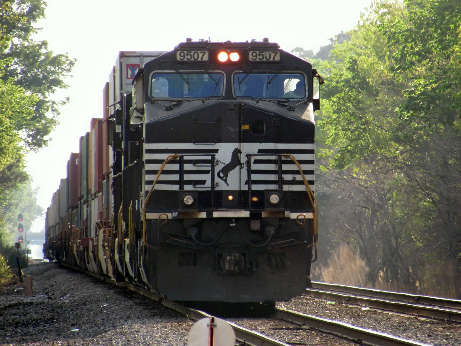 NS_234