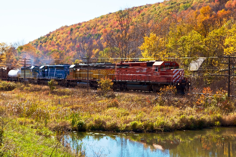 NY Fall Color