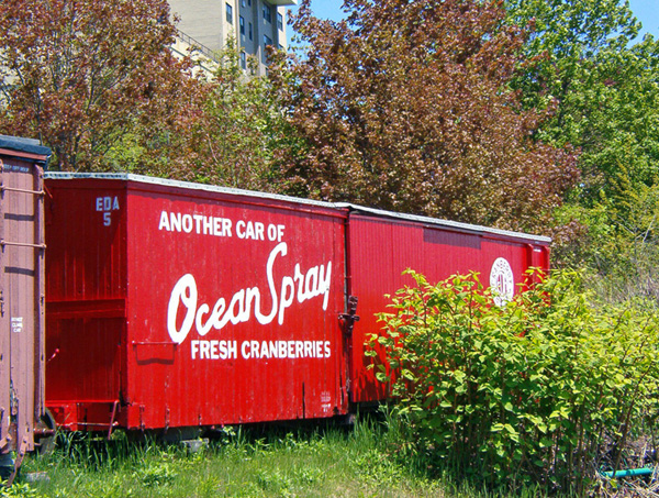 Ocean Spray