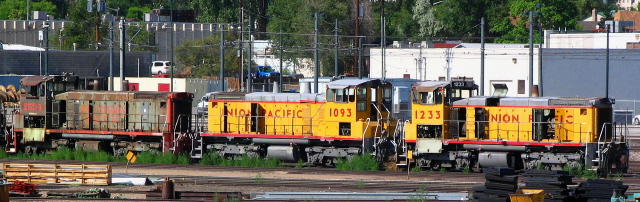 Old pickings on the dead line