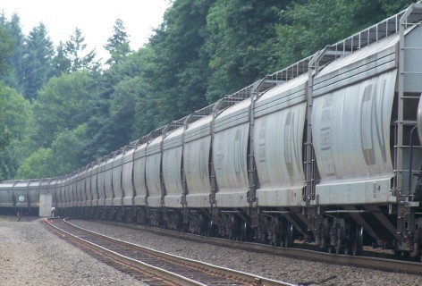One big Line Up