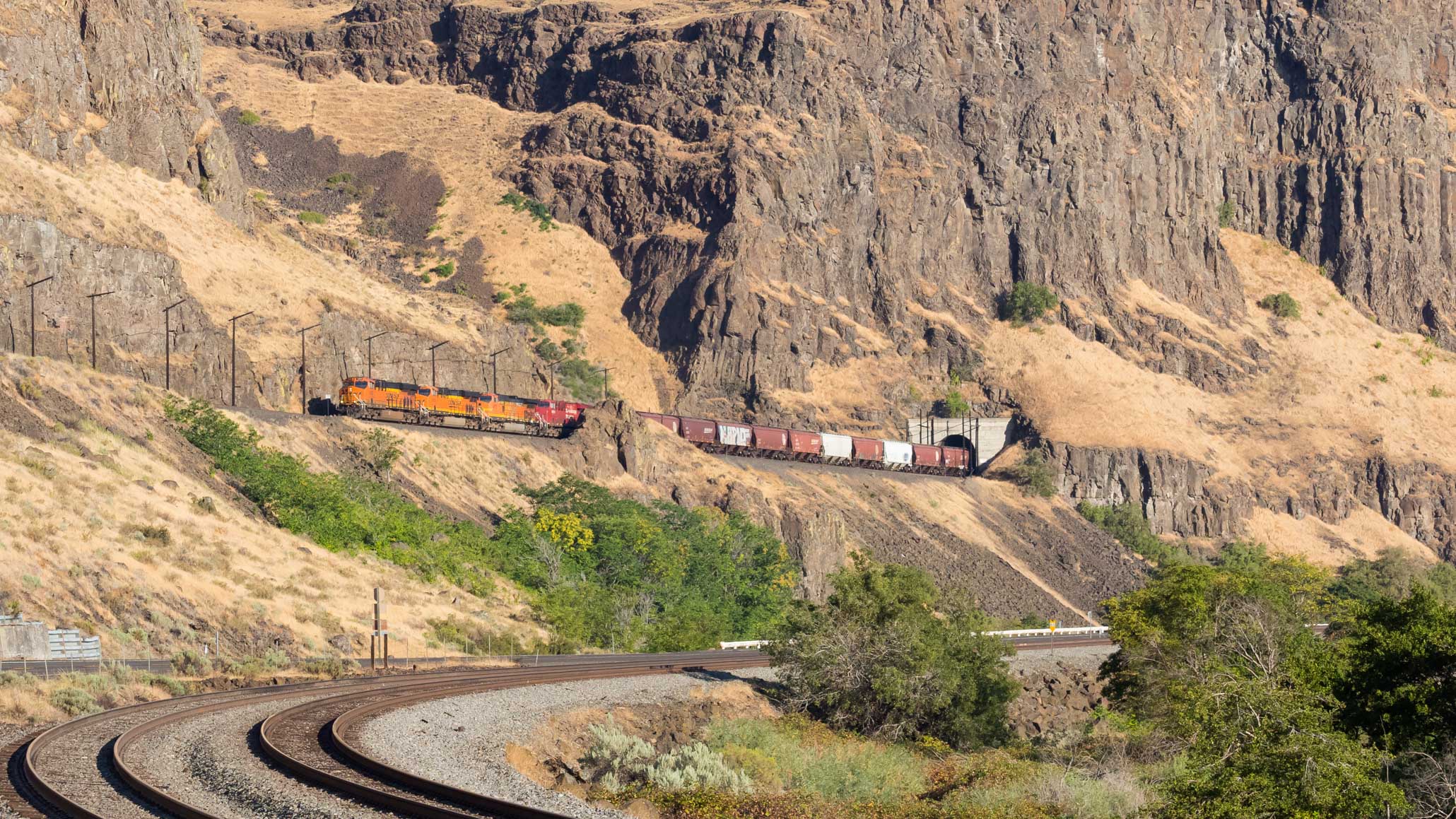 Oregon Trunk Elephants.jpg