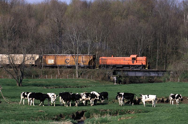 Pastoral Scene