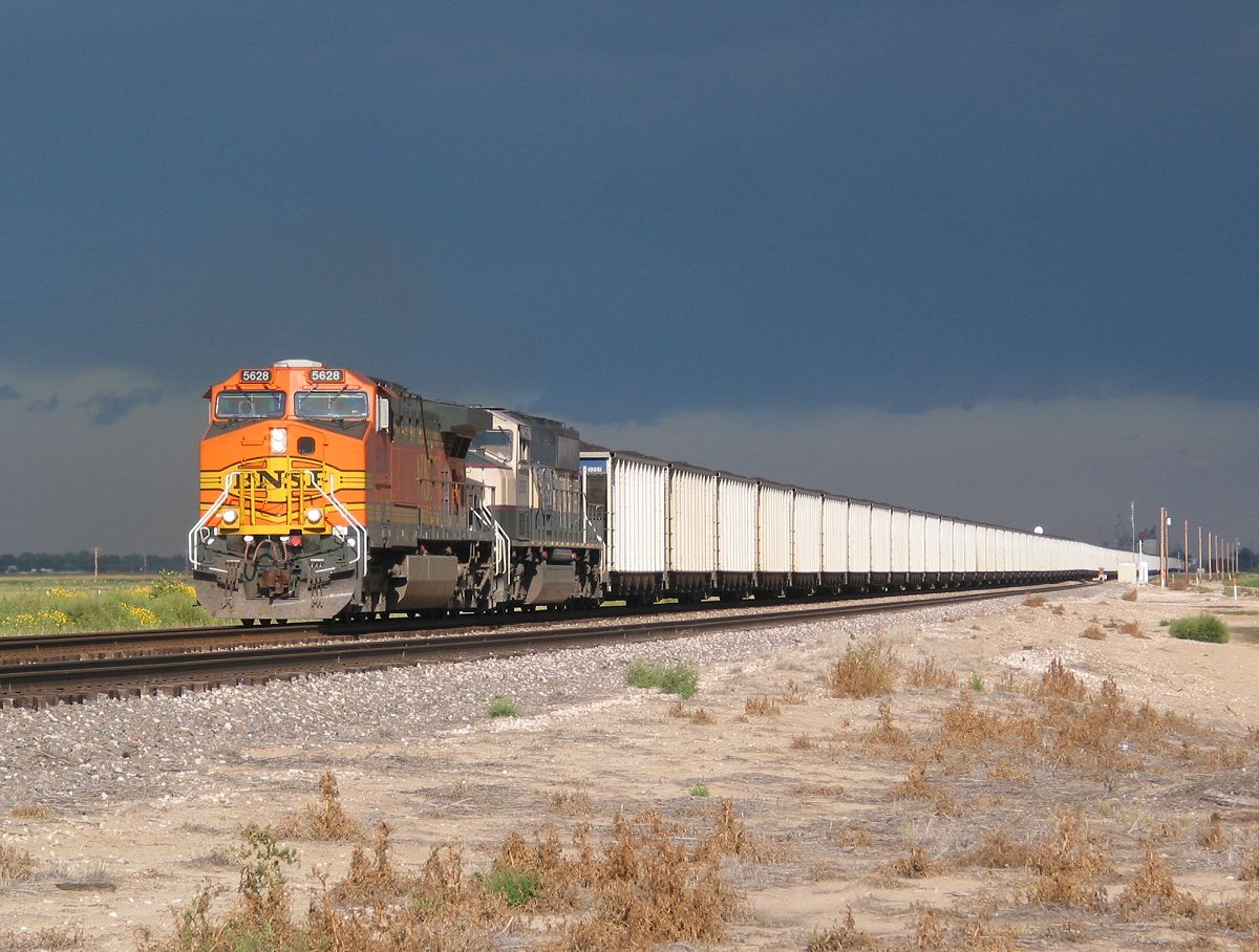 Racing the Storm