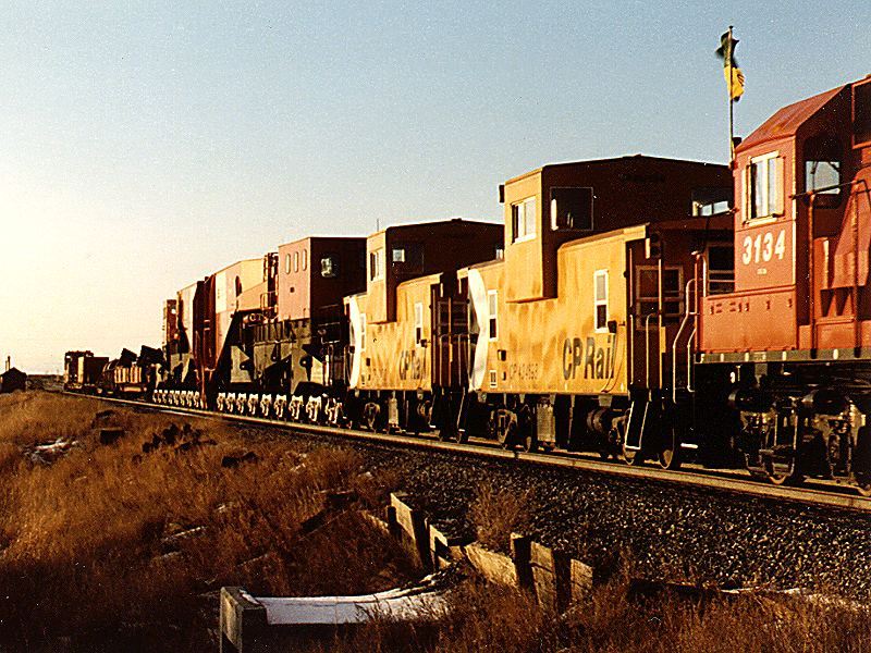 "Returning to Duluth"