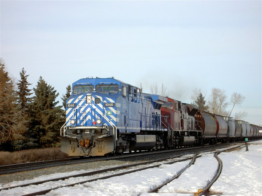 S/B Grain