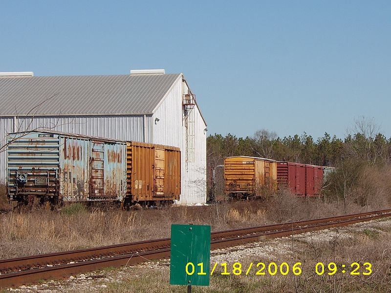 Selma Seed Oil
