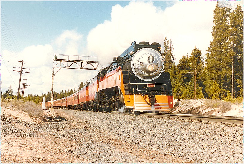 Shasta Daylight