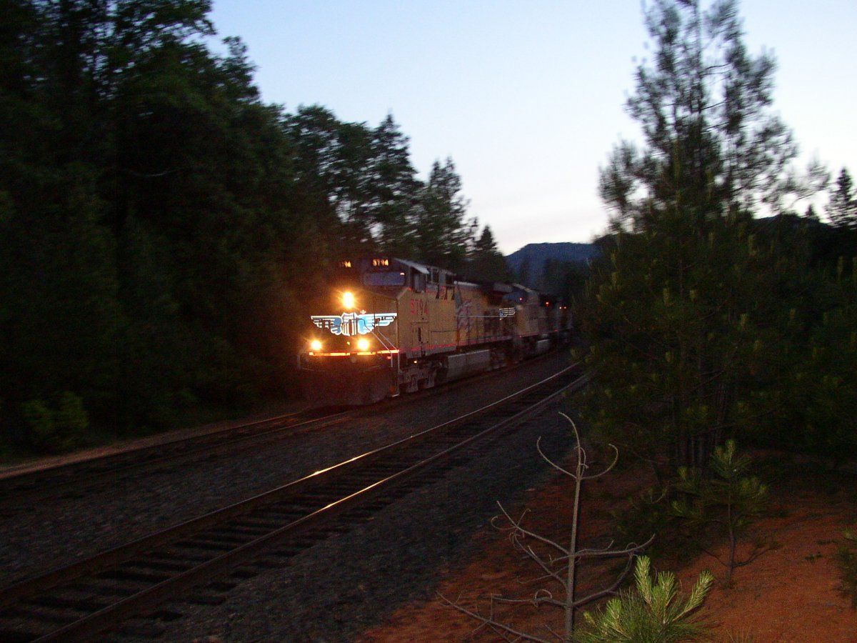 shasta