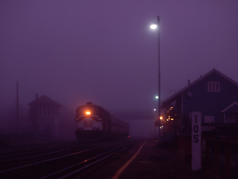 Shore Line murk