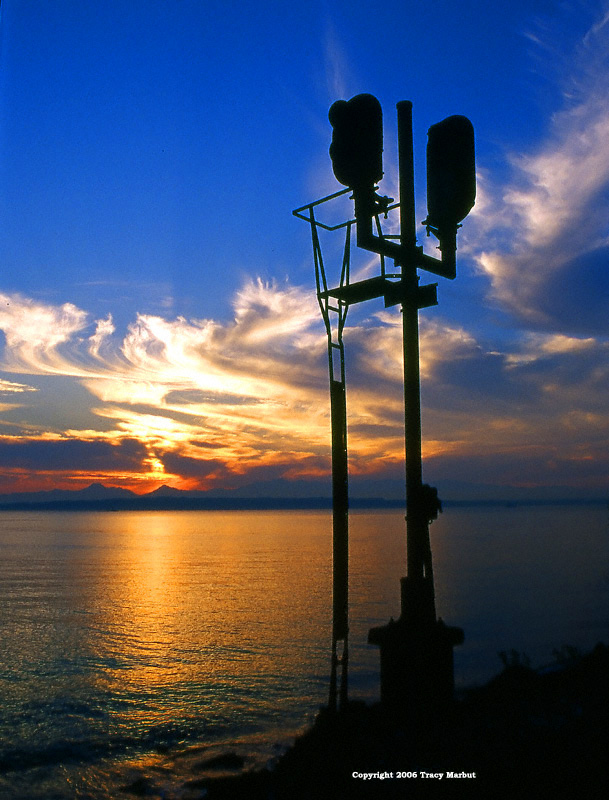 Signal Study 5
