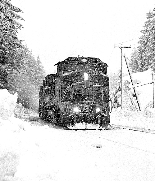 Snow Bonnet