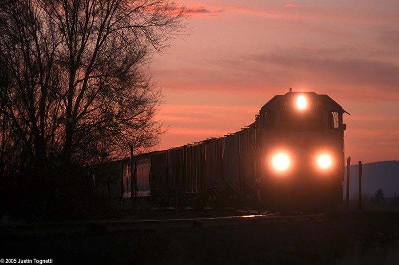 South Local at sunset