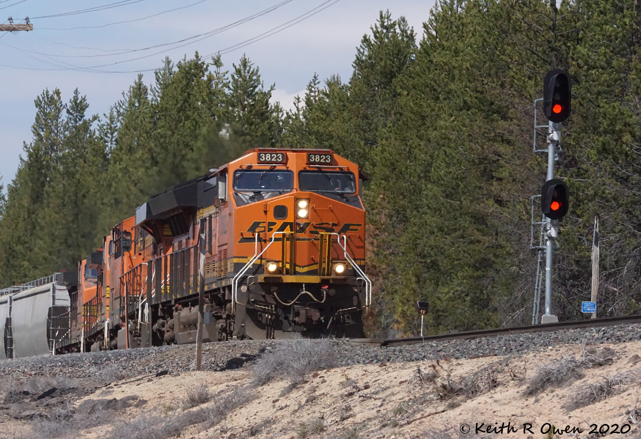Southbound BNSF Grain