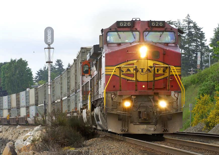 Southbound Warbonnet
