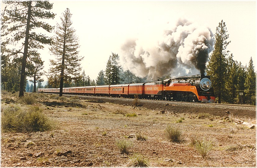 SP 4449