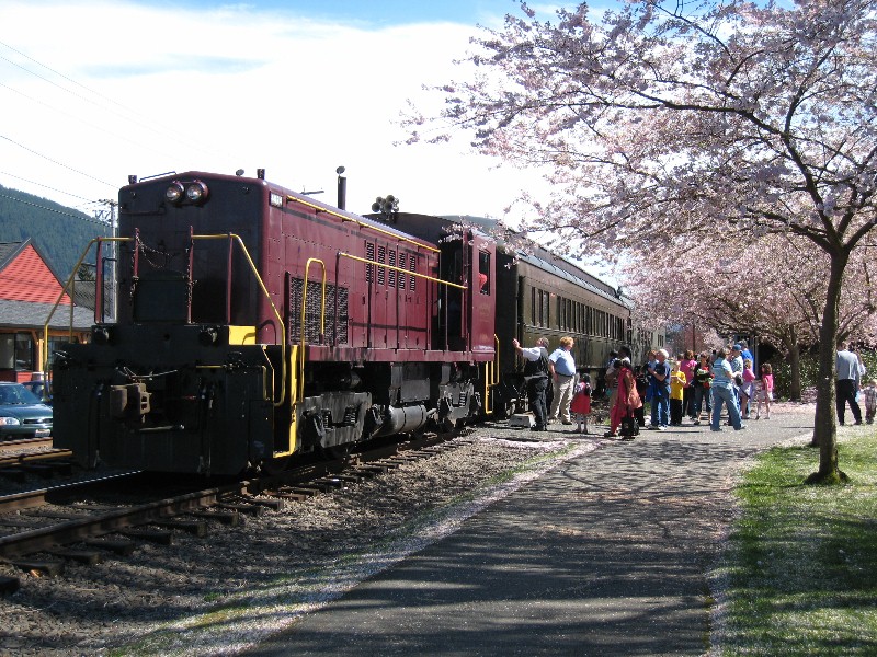 Springtime in North Bend