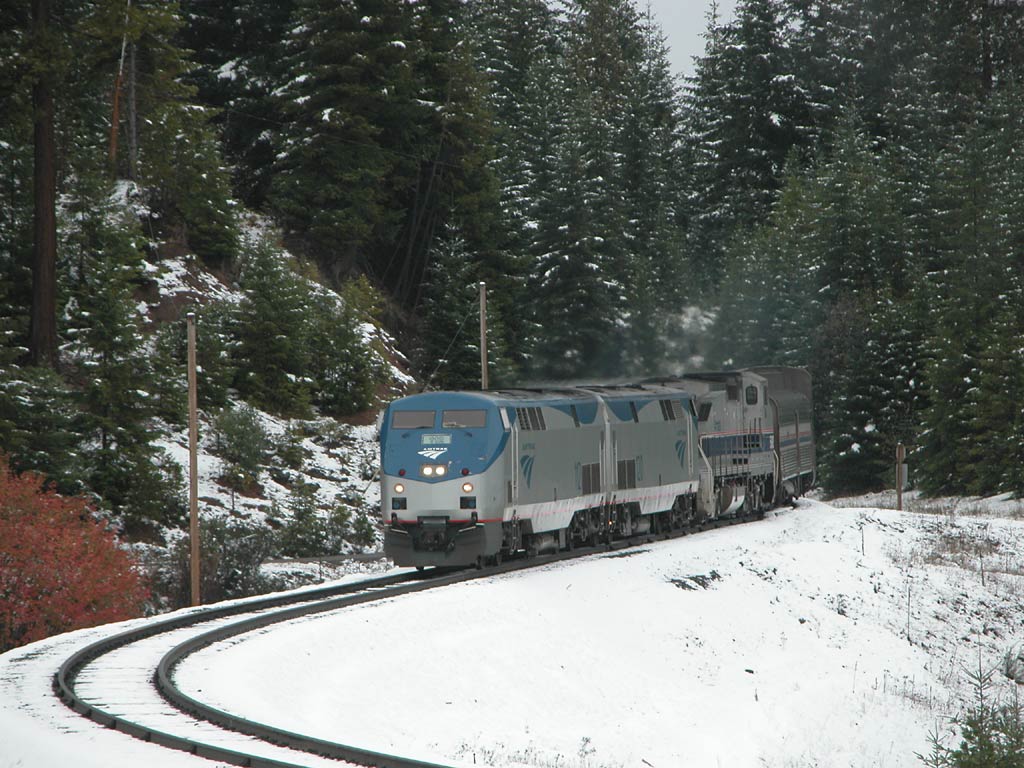 Starlight in the Snow