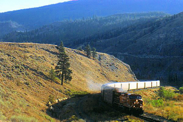 Sun on Autoracks