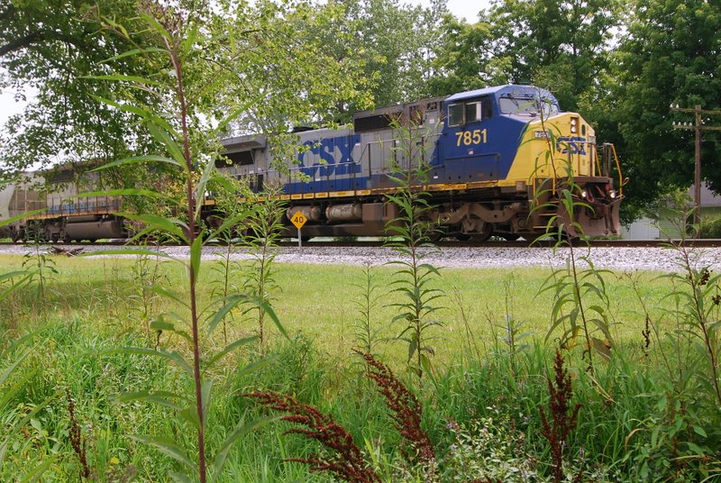 Sunday Action at Wildie Ky