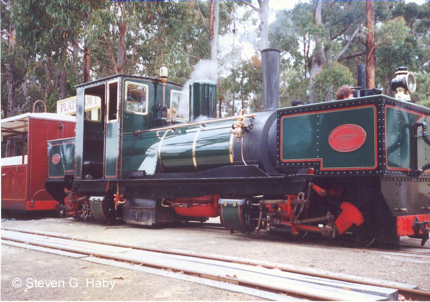 Tasmania Miniature Garrett