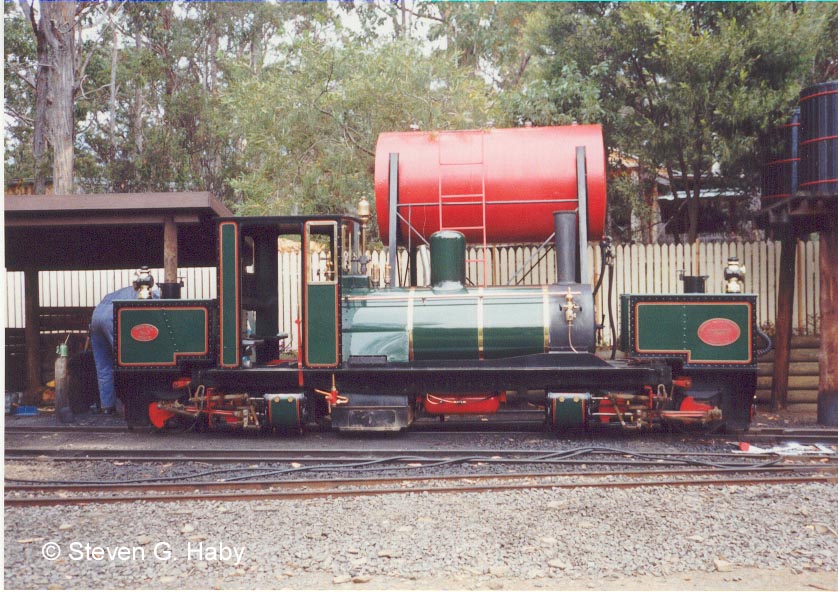 Tasmania Miniature Garrett