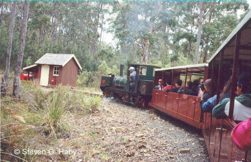 Tasmania Miniature Garrett