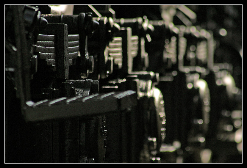 Tender Springs