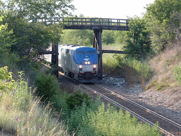 Texas Eagle at Blue Cut