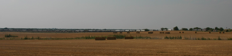 Texas Hay Field