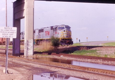 TFM_1682