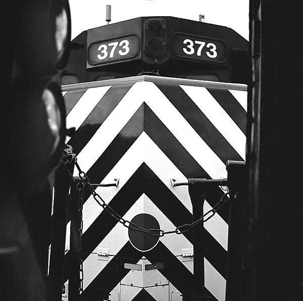 Through the Nose of the 393