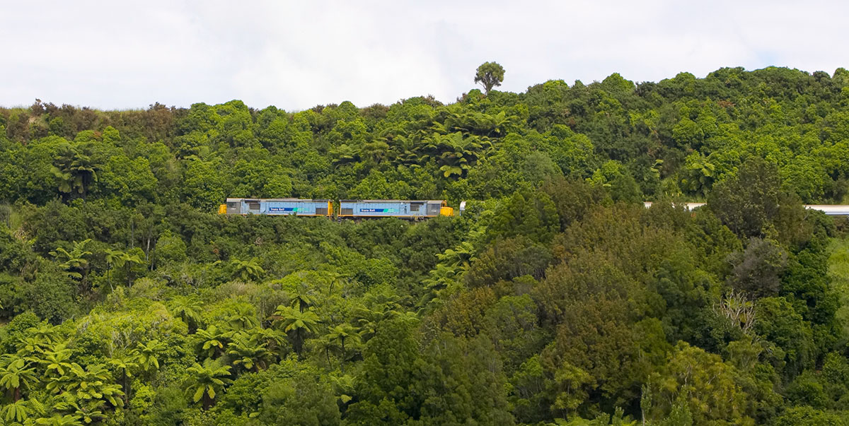 Train 542