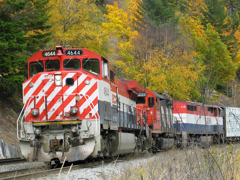Train 576