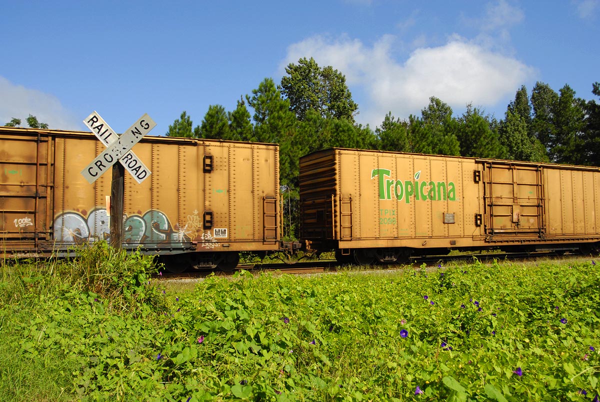 Tropicana