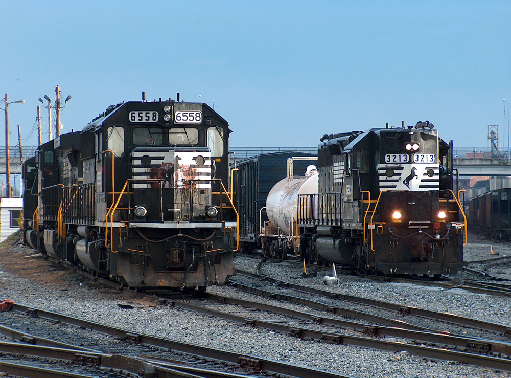 Two In The Yard