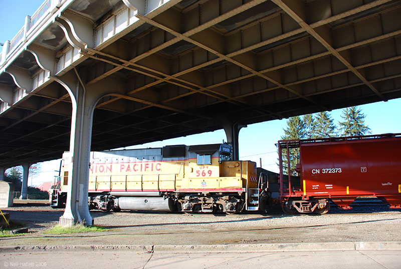 Under the bridge