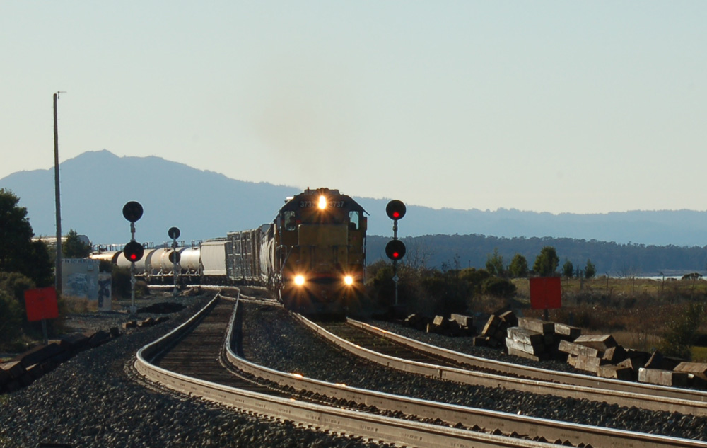 UP 3737 at CP Hercules