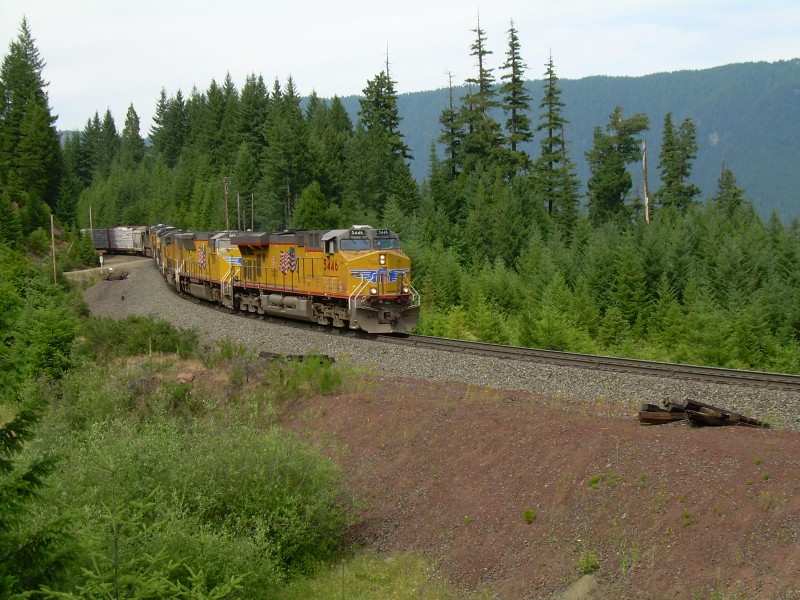 UP 5446