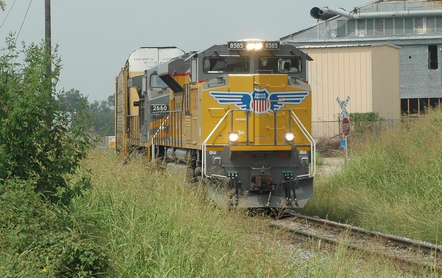 UP 8585 & high grass