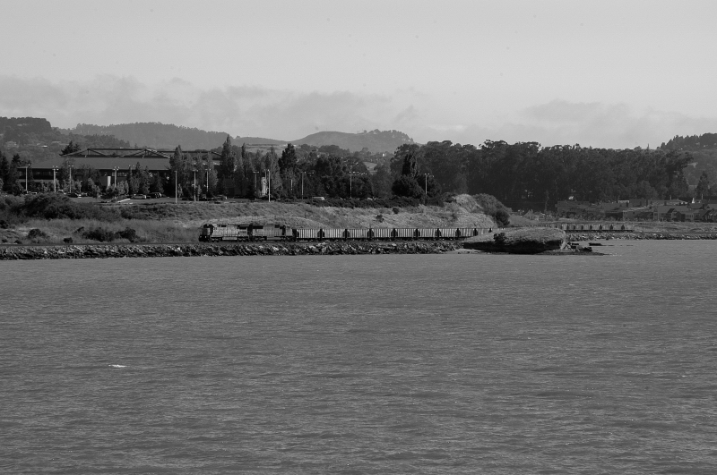 UP Along the Bay