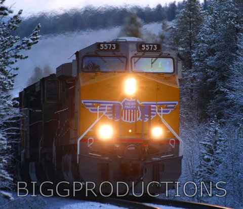 UP Freight Train