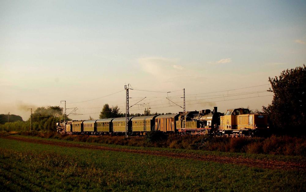V 65 INGE