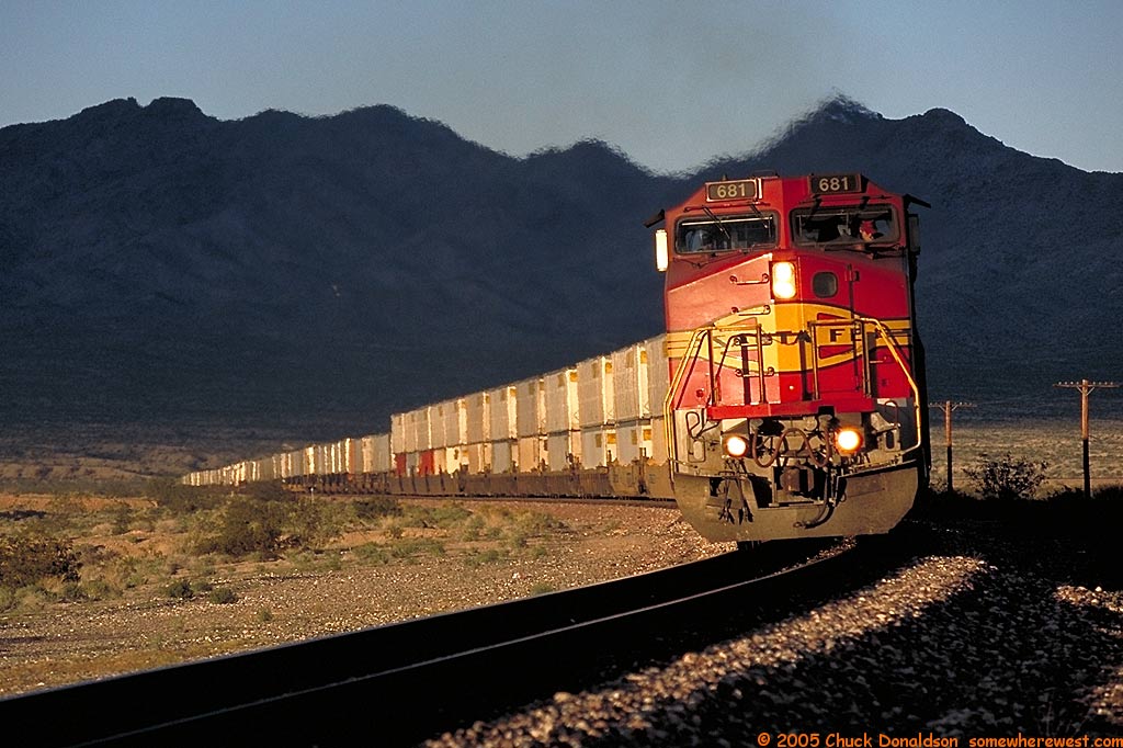 Warbonnet at Ibis