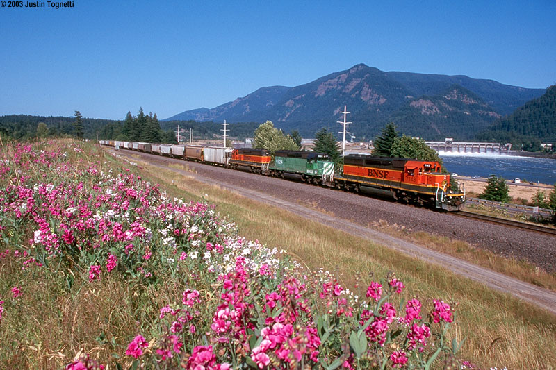 Westbound grain in the gorge